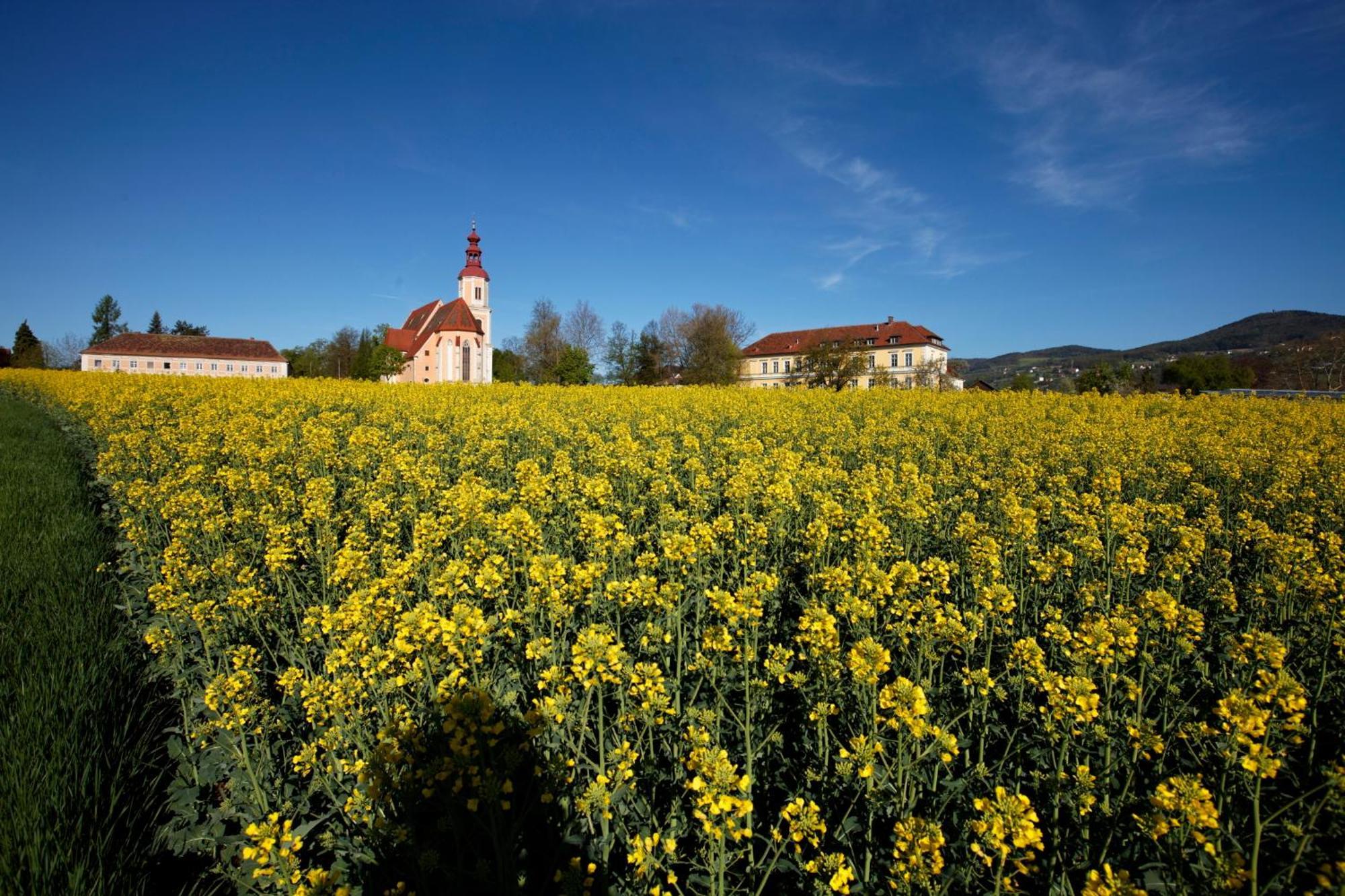 Gasthof Pack "Zur Lebing Au" Hartberg Exterior foto